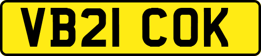VB21COK