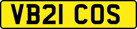 VB21COS