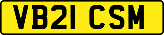 VB21CSM