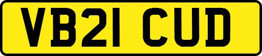 VB21CUD