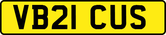 VB21CUS