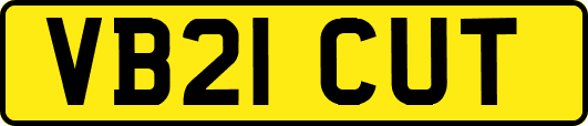 VB21CUT