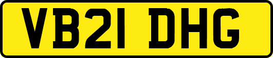VB21DHG