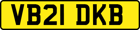 VB21DKB