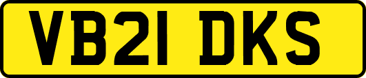 VB21DKS