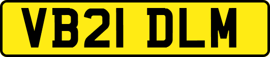 VB21DLM