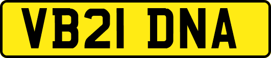 VB21DNA