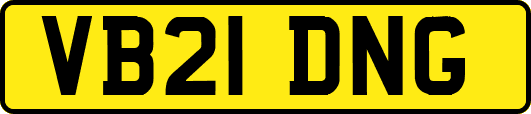 VB21DNG