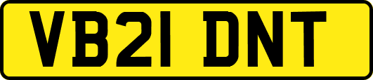 VB21DNT