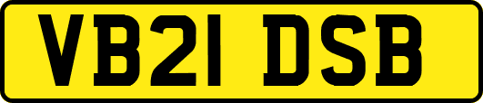 VB21DSB