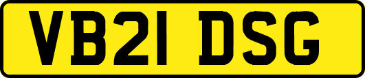 VB21DSG
