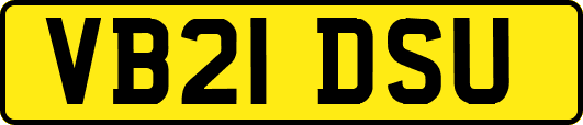 VB21DSU