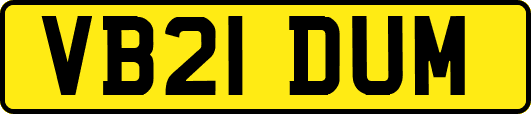 VB21DUM