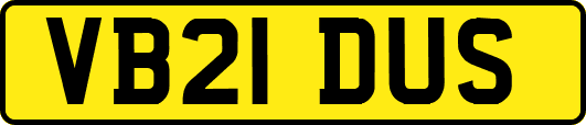 VB21DUS