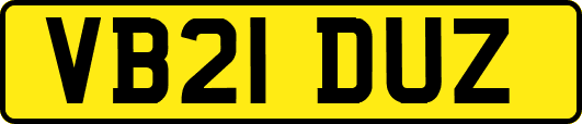 VB21DUZ