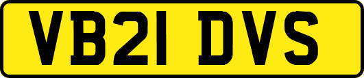 VB21DVS