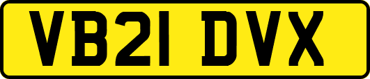 VB21DVX