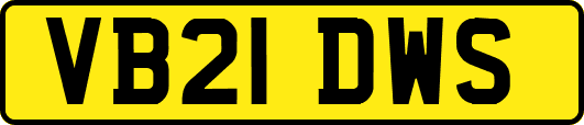 VB21DWS