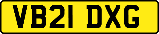 VB21DXG