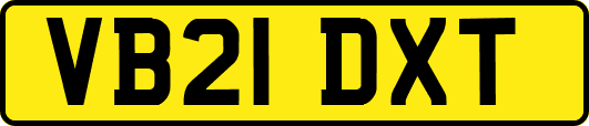 VB21DXT