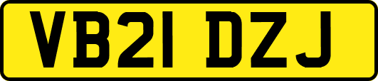 VB21DZJ