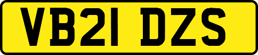 VB21DZS
