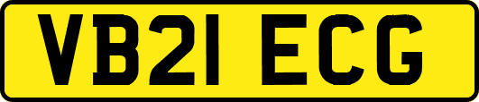 VB21ECG