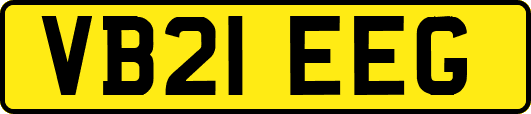 VB21EEG