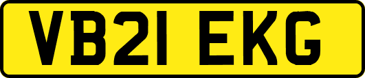 VB21EKG
