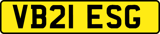 VB21ESG