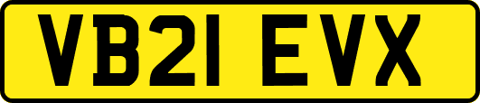 VB21EVX