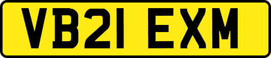 VB21EXM