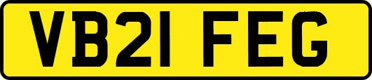 VB21FEG