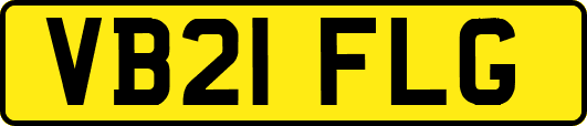 VB21FLG