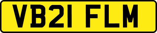 VB21FLM