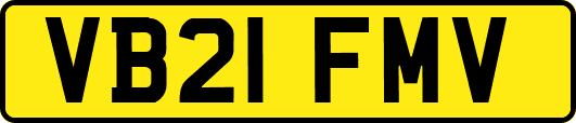 VB21FMV