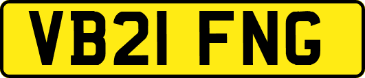 VB21FNG