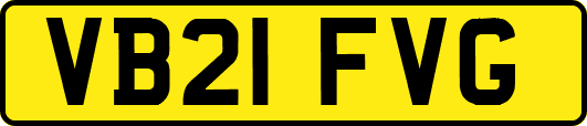 VB21FVG