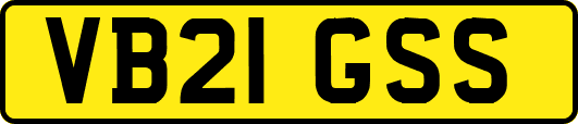 VB21GSS
