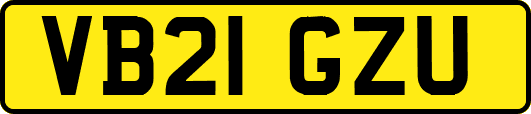 VB21GZU