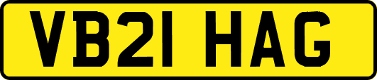 VB21HAG