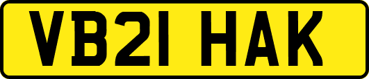 VB21HAK