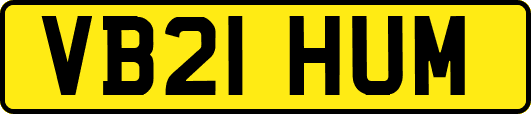 VB21HUM
