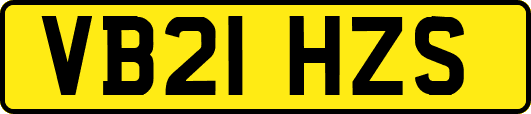 VB21HZS