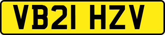VB21HZV