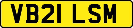 VB21LSM