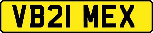 VB21MEX