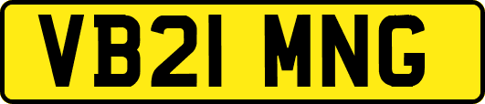 VB21MNG