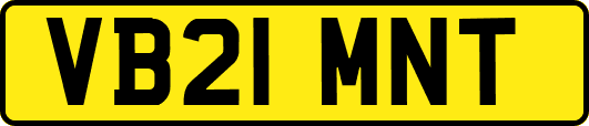 VB21MNT