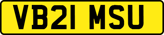 VB21MSU
